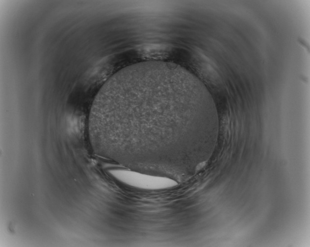 X0000098160271200804241810