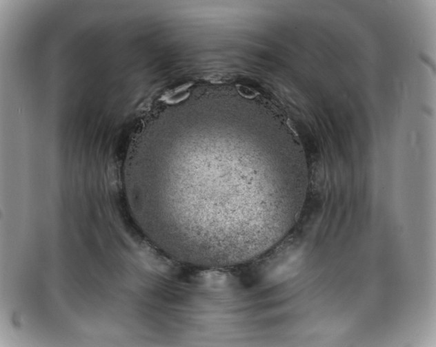 X0000098160272200804241810