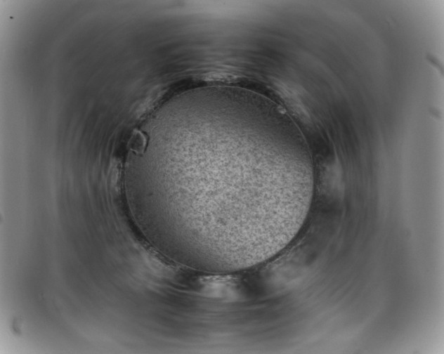 X0000098160273200804241810