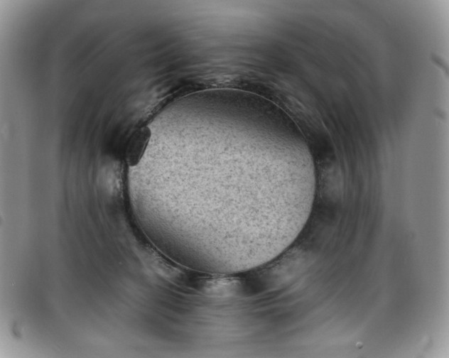 X0000098160274200804241810