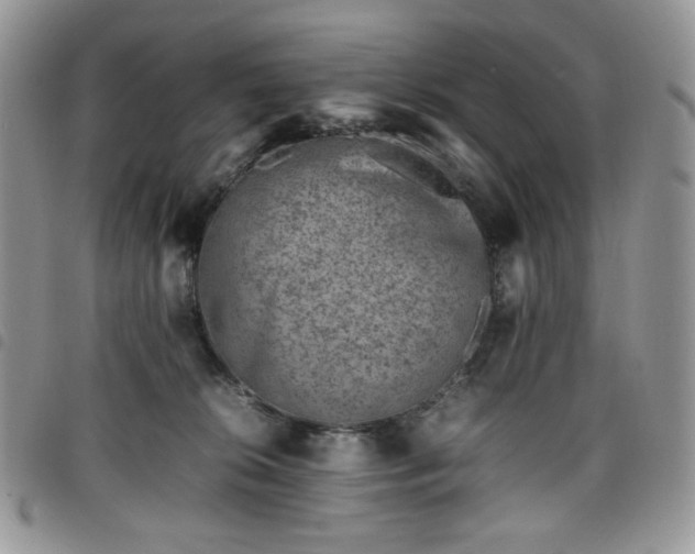 X0000098160276200804241810
