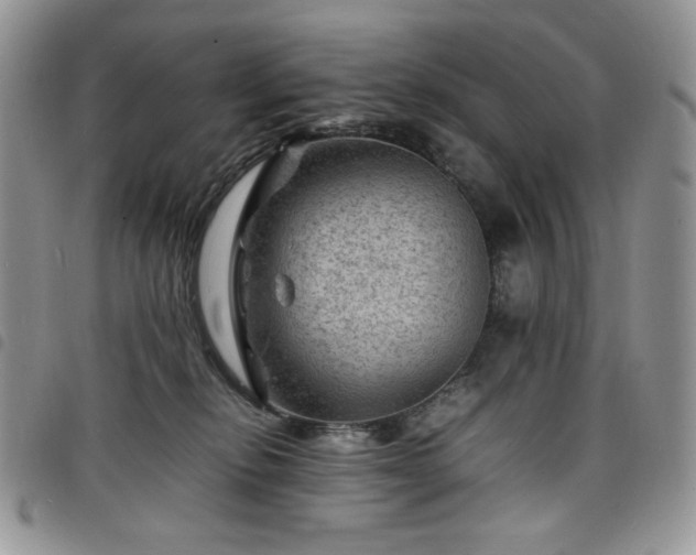 X0000098160278200804241810