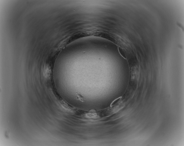 X0000098160279200804241810