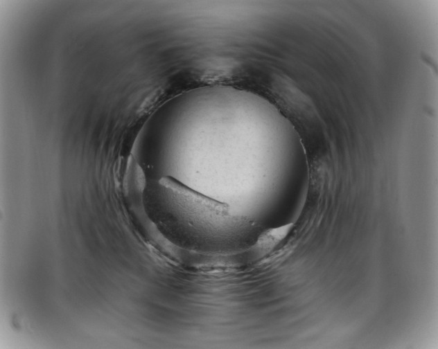 X0000098160280200804241810