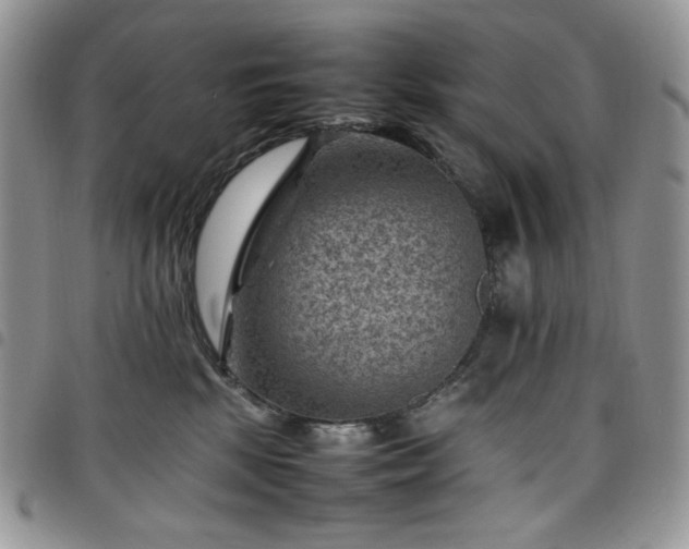 X0000098160281200804241810