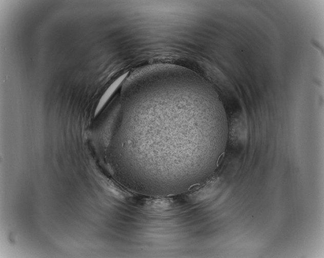 X0000098160282200804241811