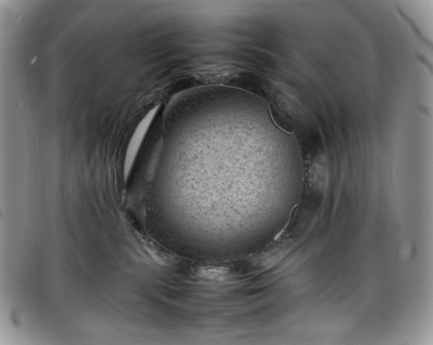 X0000098160283200804241811
