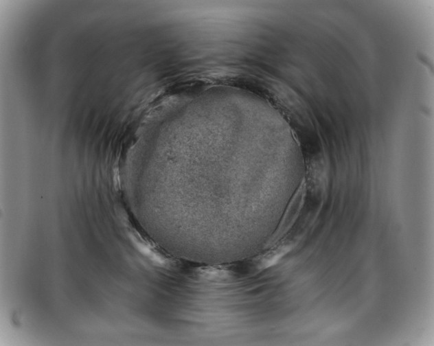 X0000098160284200804241811