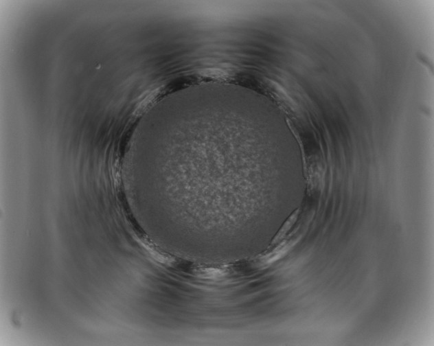 X0000098160285200804241811