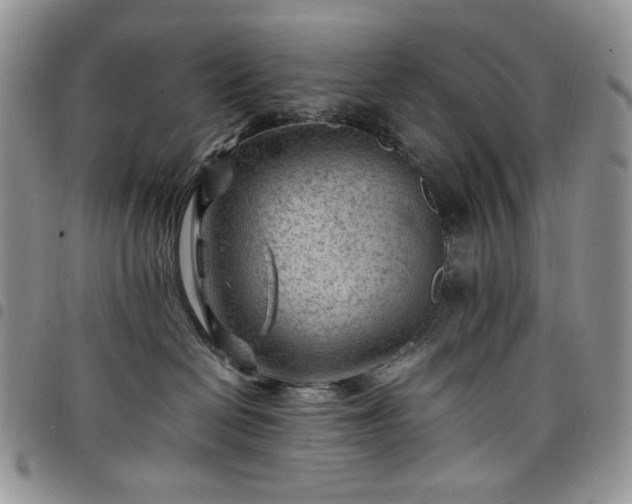 X0000098160286200804241811