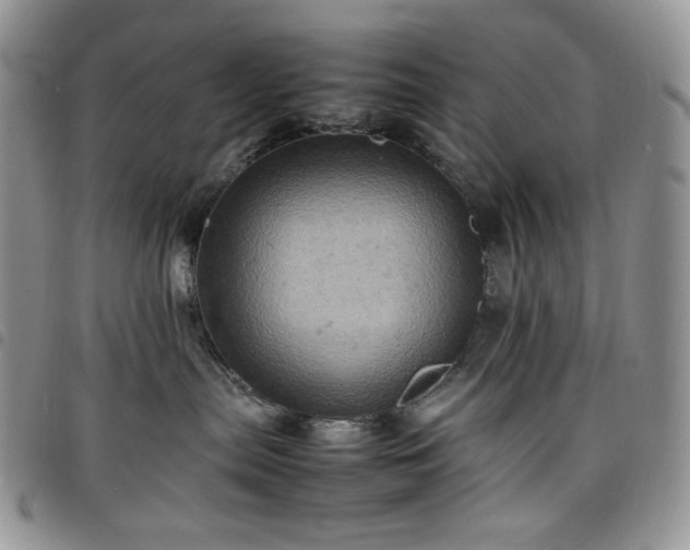 X0000098160287200804241811