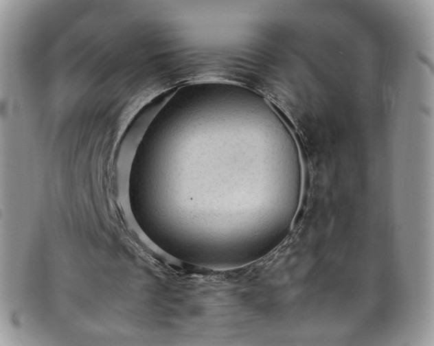 X0000098160289200804241810