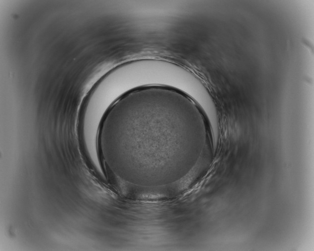 X0000098160292200804241810