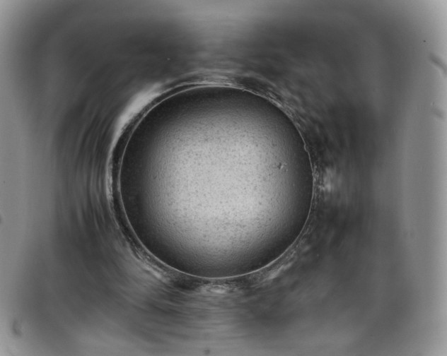 X0000098160294200804241810