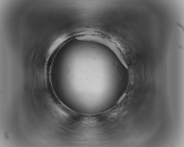 X0000098160296200804241810