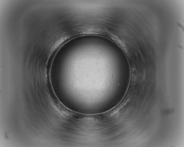X0000098160298200804241810