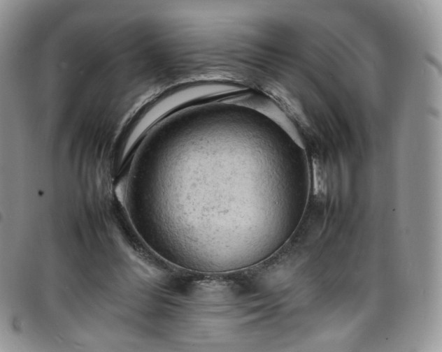 X0000098160300200804241810