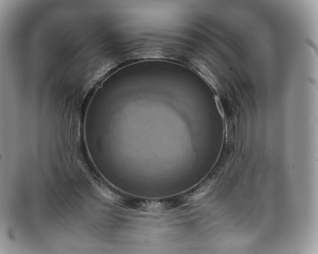 X0000098160301200804241810