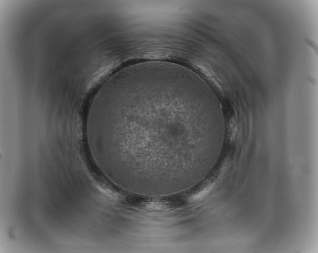 X0000098160303200804241810