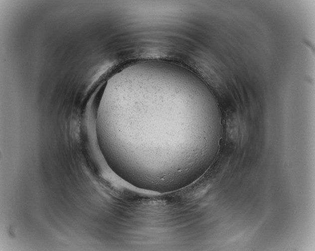 X0000098160304200804241810