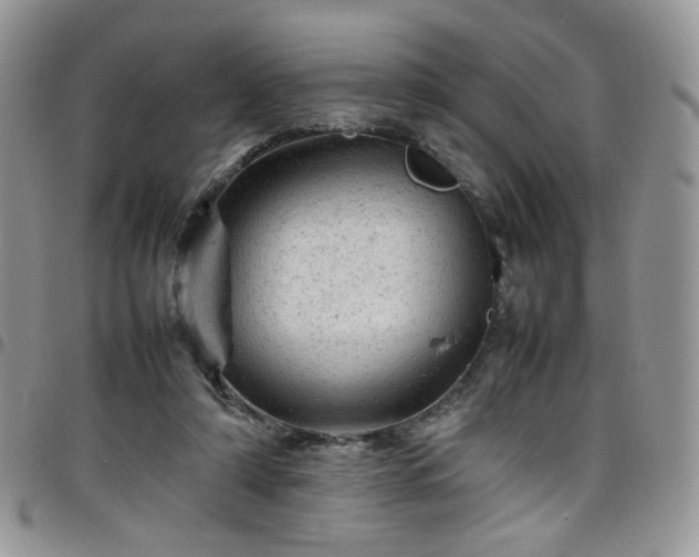 X0000098160306200804241810