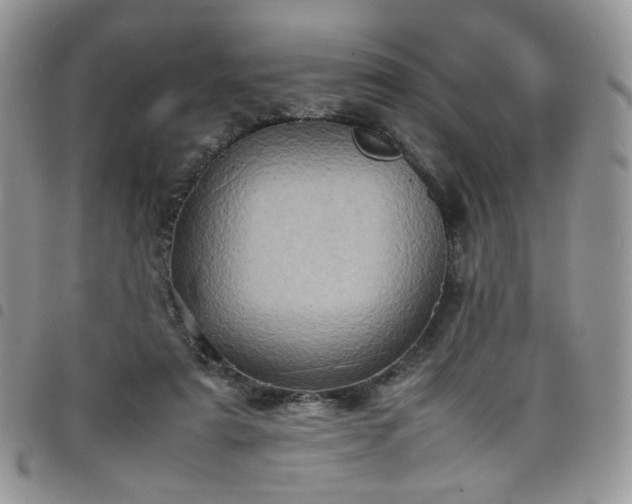 X0000098160307200804241810