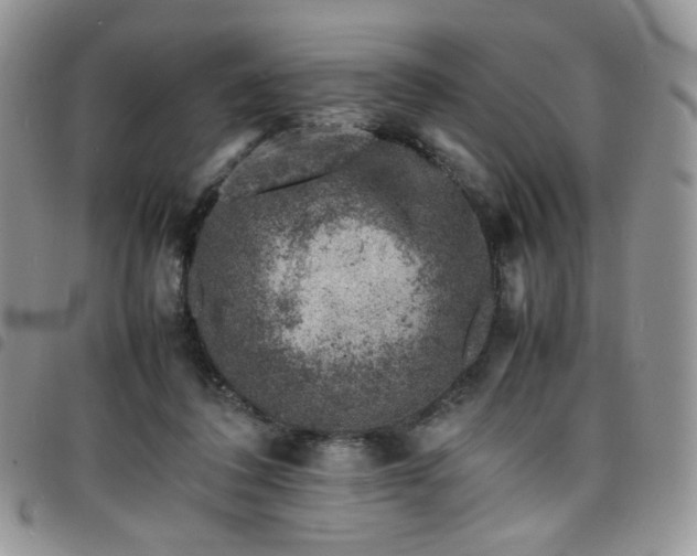 X0000098160308200804241810