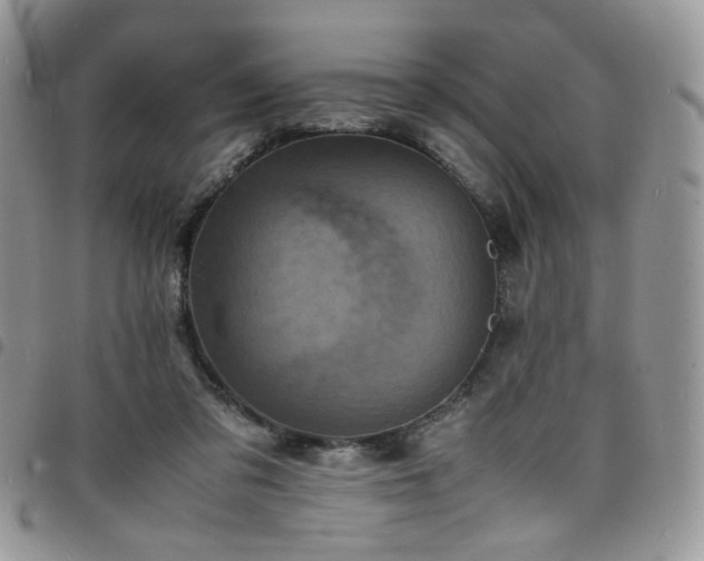 X0000098160309200804241810