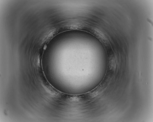 X0000098160310200804241810