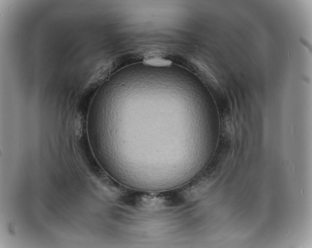 X0000098160311200804241810