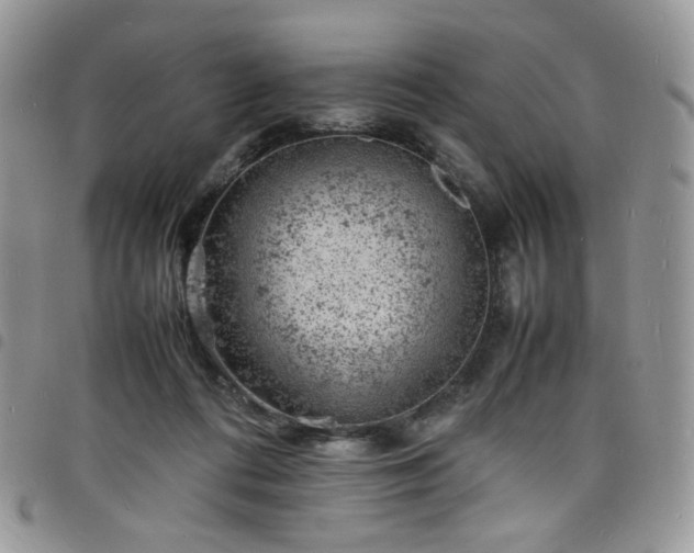 X0000098160312200804241810