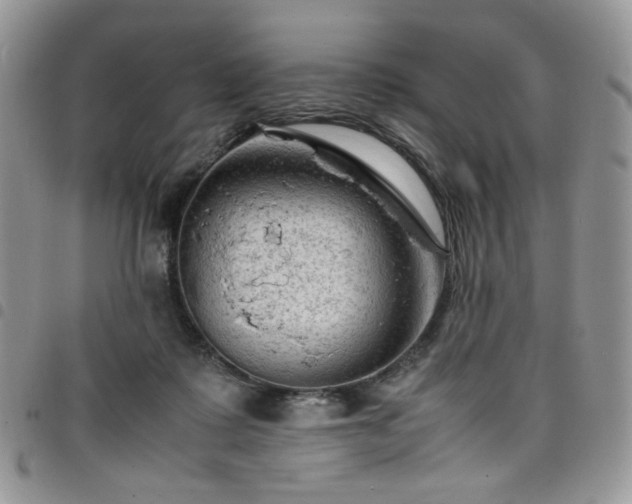 X0000098160315200804241809