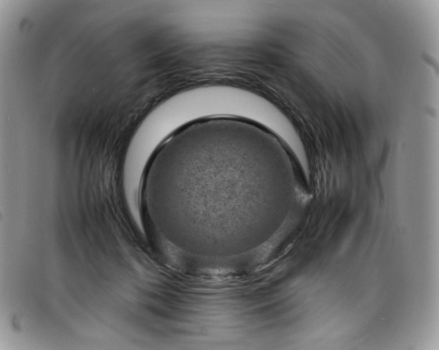 X0000098160316200804241809