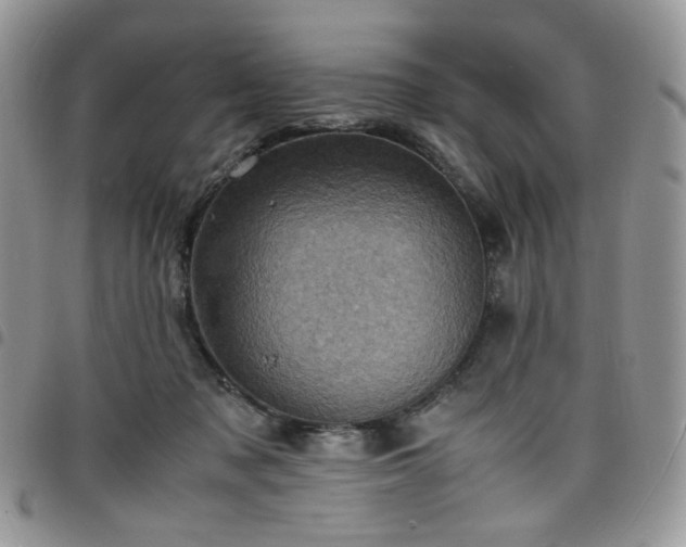 X0000098160317200804241809