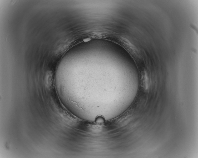X0000098160318200804241809