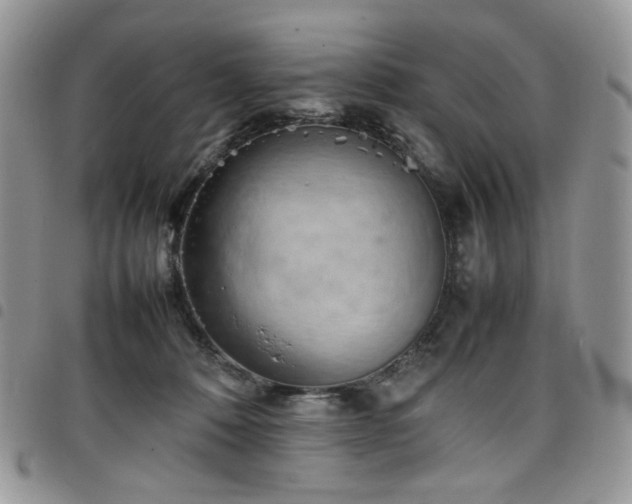 X0000098160320200804241809