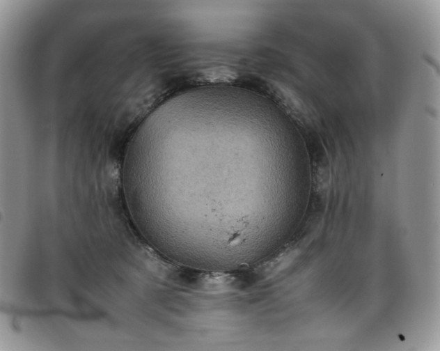 X0000098160321200804241809