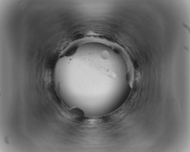X0000098160323200804241809