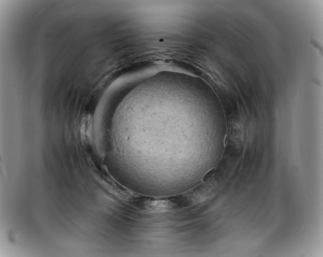 X0000098160324200804241809