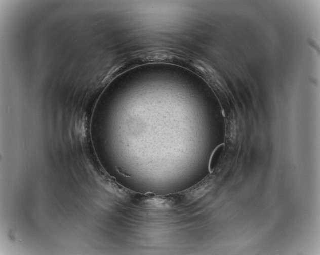 X0000098160326200804241809