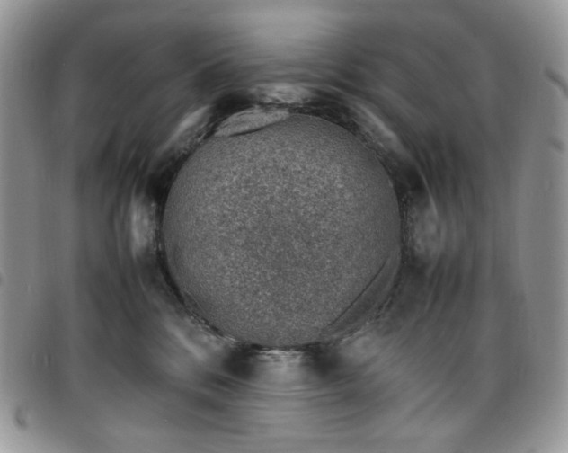 X0000098160328200804241809