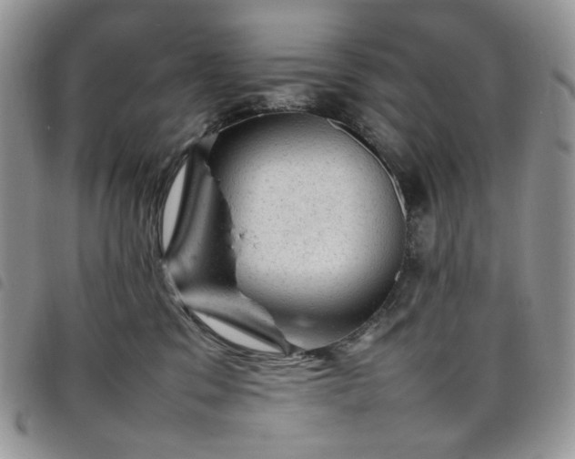 X0000098160329200804241809