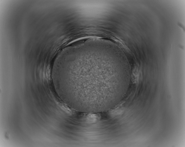 X0000098160330200804241809