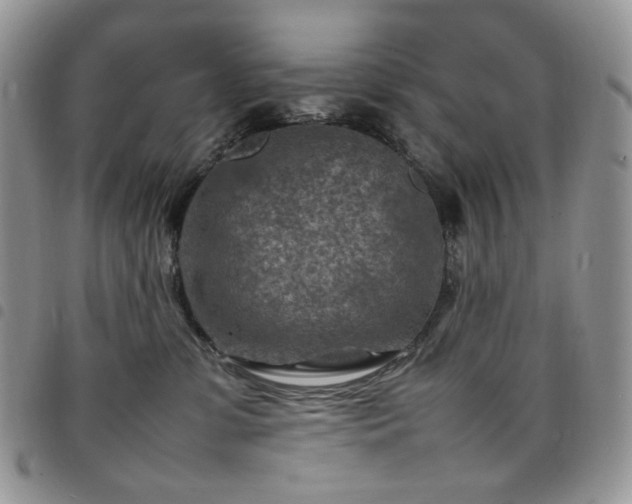 X0000098160331200804241809