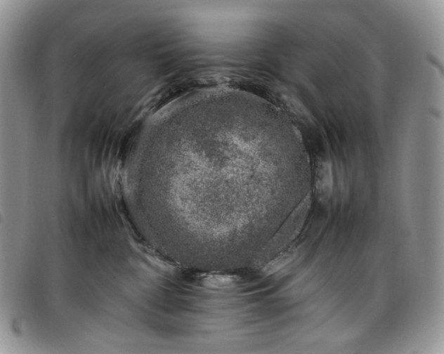X0000098160332200804241809