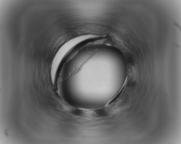 X0000098160333200804241809