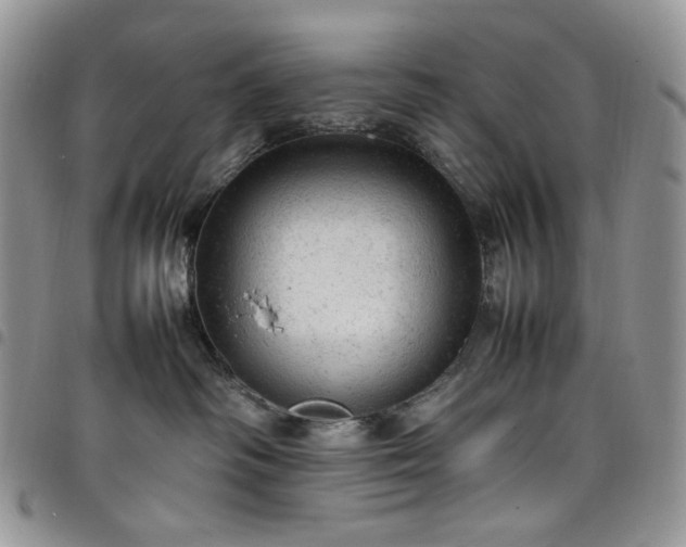 X0000098160334200804241809