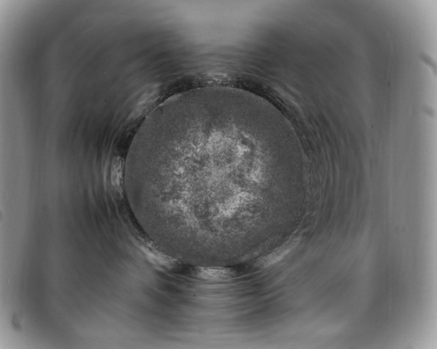 X0000098160336200804241809
