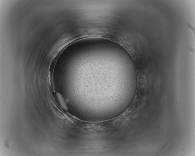 X0000098160338200804241809