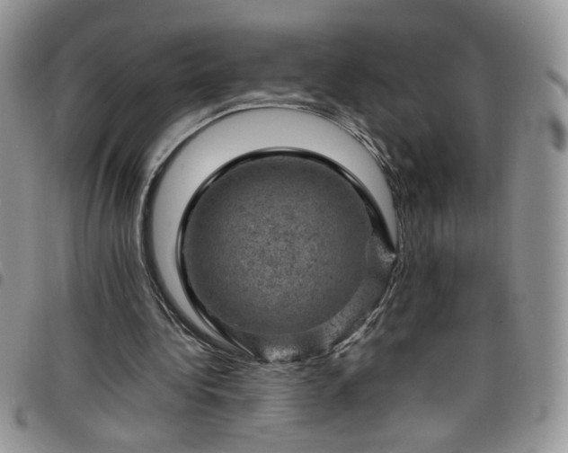 X0000098160340200804241809